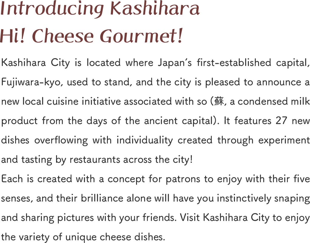 Introducing Kashihara Hi! Cheese Gourmet!
