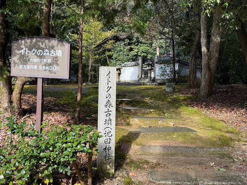 イトクの森古墳