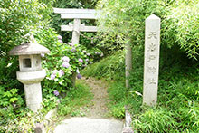 天岩戸神社