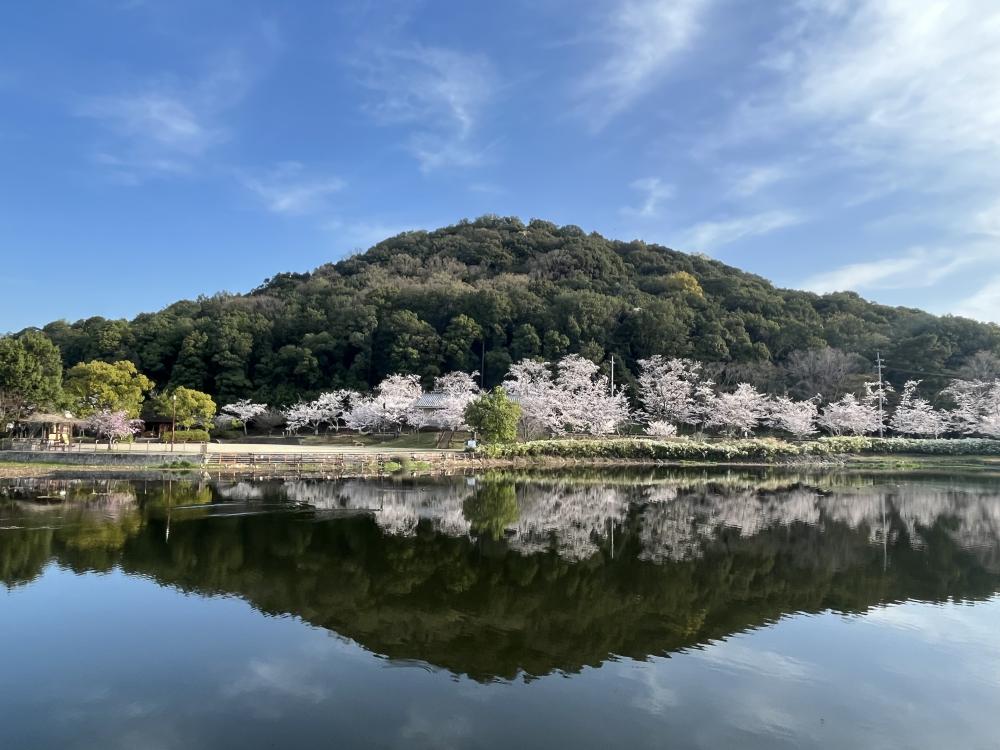 桜ウォーク橿原2026　～かしはらの&ldquo;春&rdquo;満喫コース～